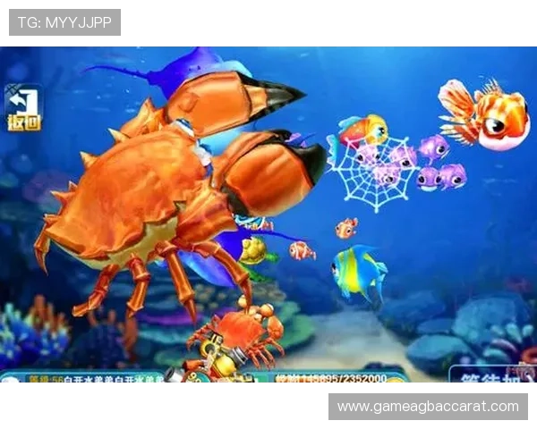 专业玩家推荐的ag新网址登录线路，让游戏运行更流畅稳定