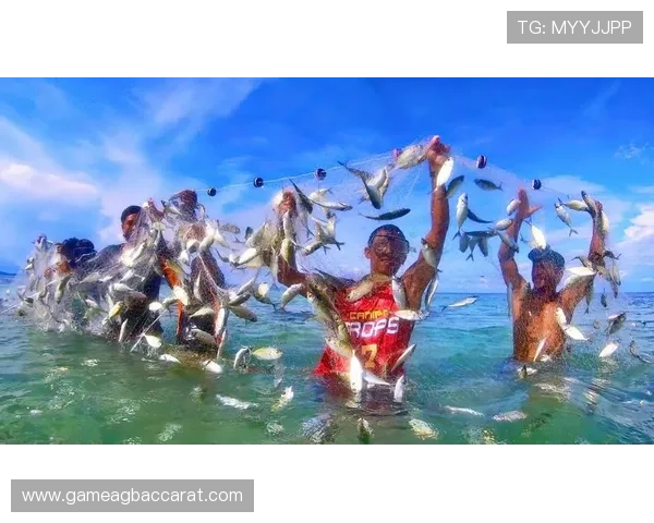 掌握ag捕鱼技巧的关键技巧，轻松击败强大鱼群