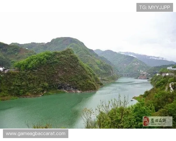 888真人平台的最新优惠活动详解，抓住每一次中奖机会